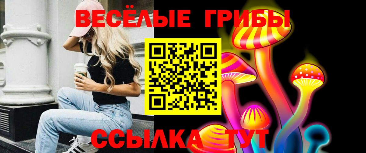 Галлюциногенные грибы мицелий  Вход с VPN  Петровск  Псилоцибиновые грибы MAGIC MUSHROOMS 